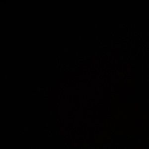 Meet your Posher, Skyler